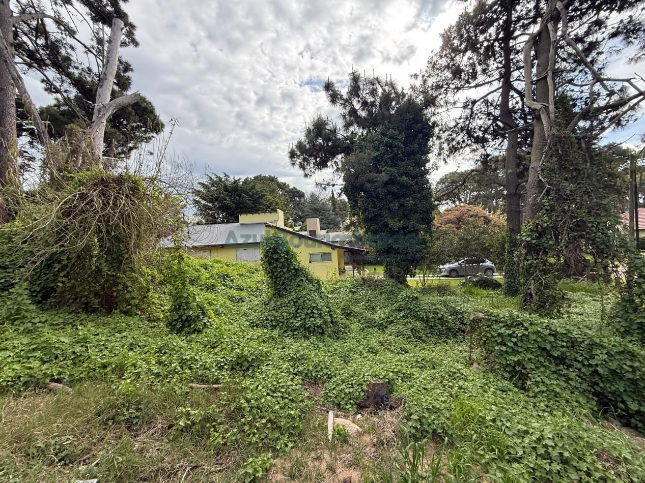 Foto de LOTE EN VENTA EN PINAMAR, imagen 4