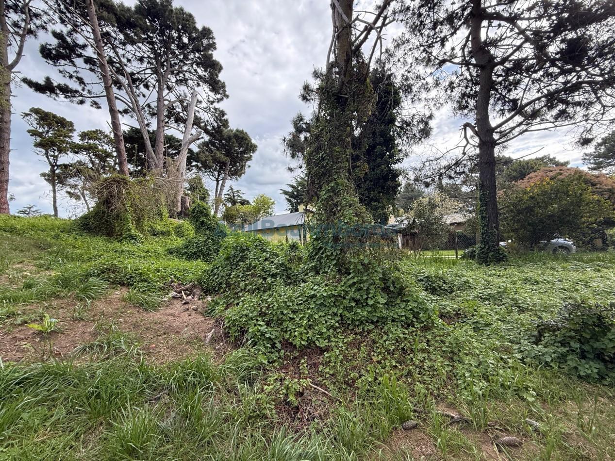 Foto de LOTE EN VENTA EN PINAMAR, imagen 5