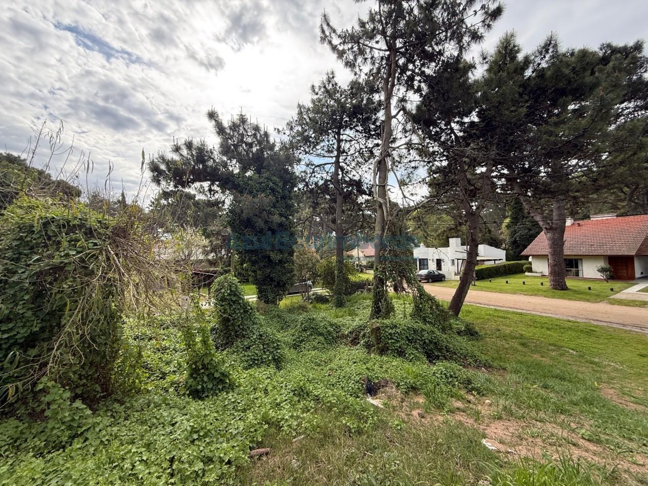 Foto de LOTE EN VENTA EN PINAMAR, imagen 3