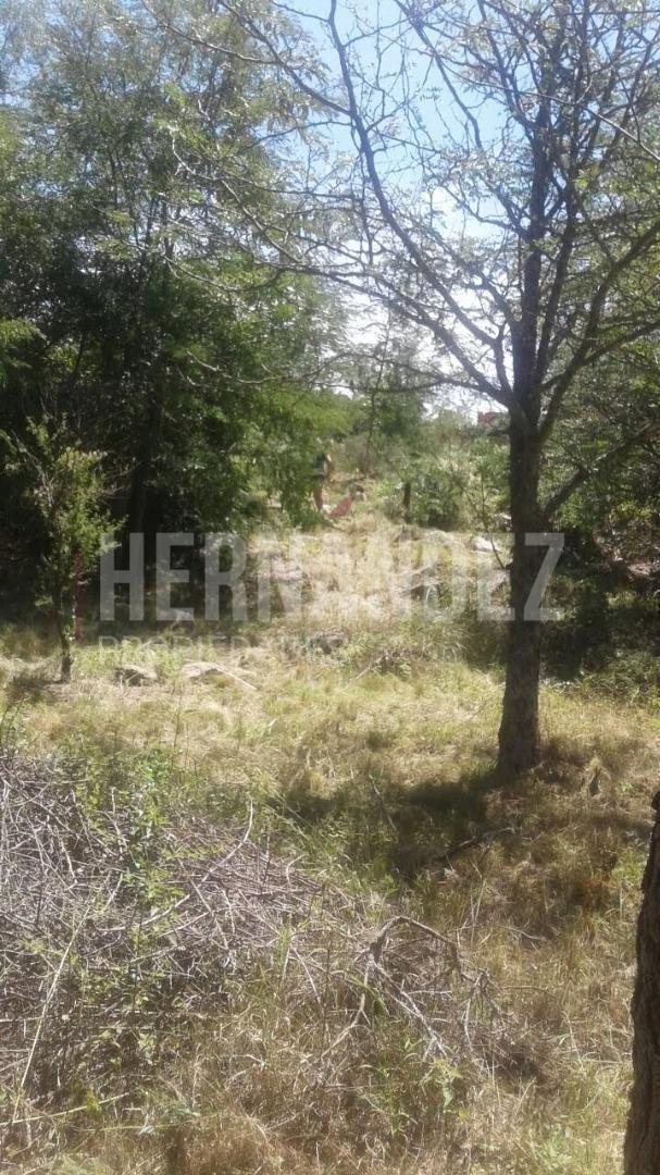 Foto de LOTE EN VALLE HERMOSO, imagen 4