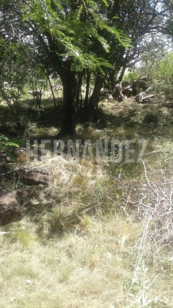 Foto de LOTE EN VALLE HERMOSO, imagen 3