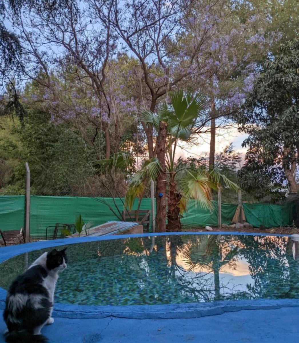 Casa Quinta con Departamento Anexo en Los Sarmientos Chilecito La Rioja 1