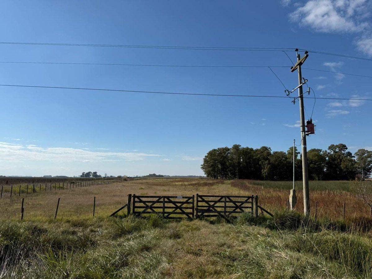 Venta Chacra 14 Hectareas en Del Carril, Saladillo