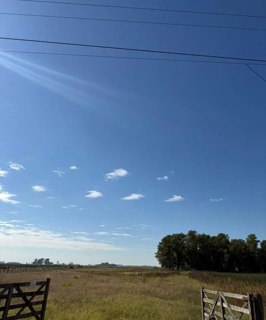 Venta Chacra 14 Hectareas en Del Carril, Saladillo 5
