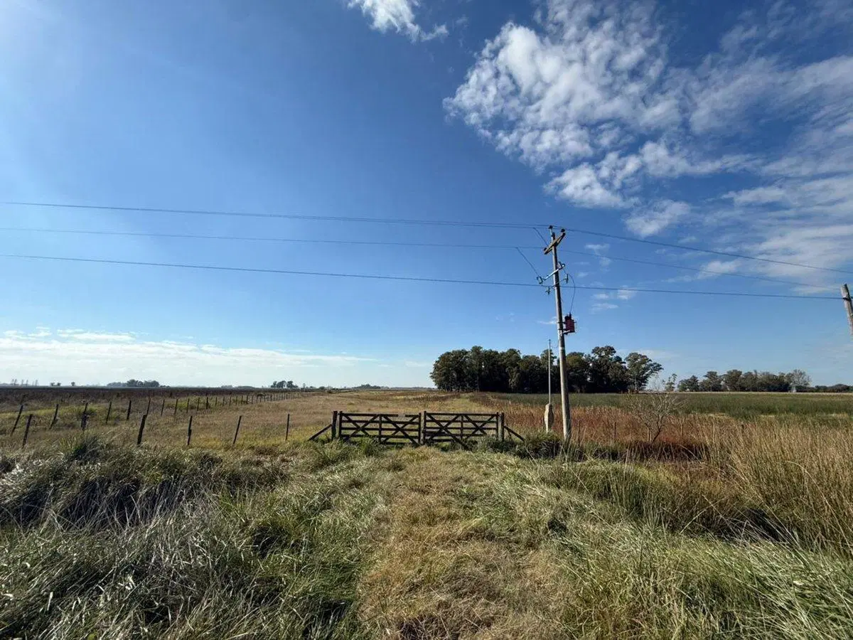 Venta Chacra 14 Hectareas en Del Carril, Saladillo 2