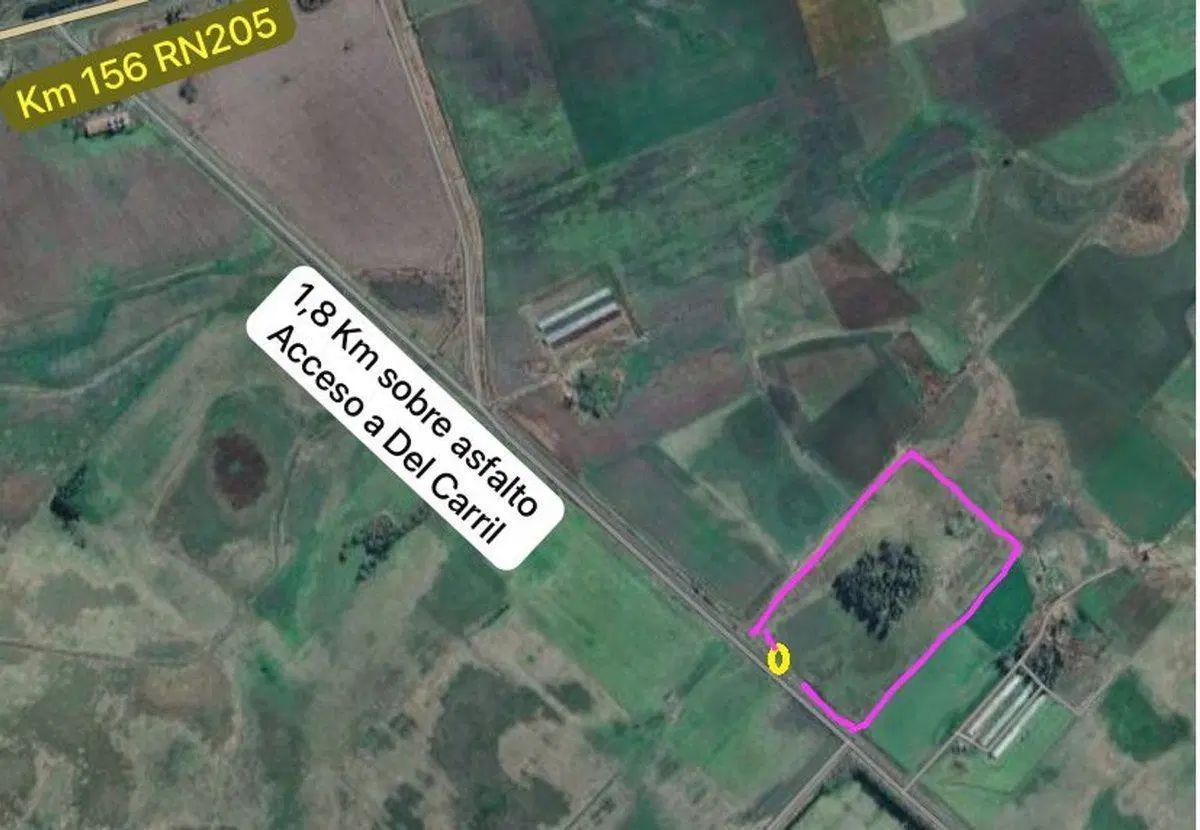 Venta Chacra 14 Hectareas en Del Carril, Saladillo 3