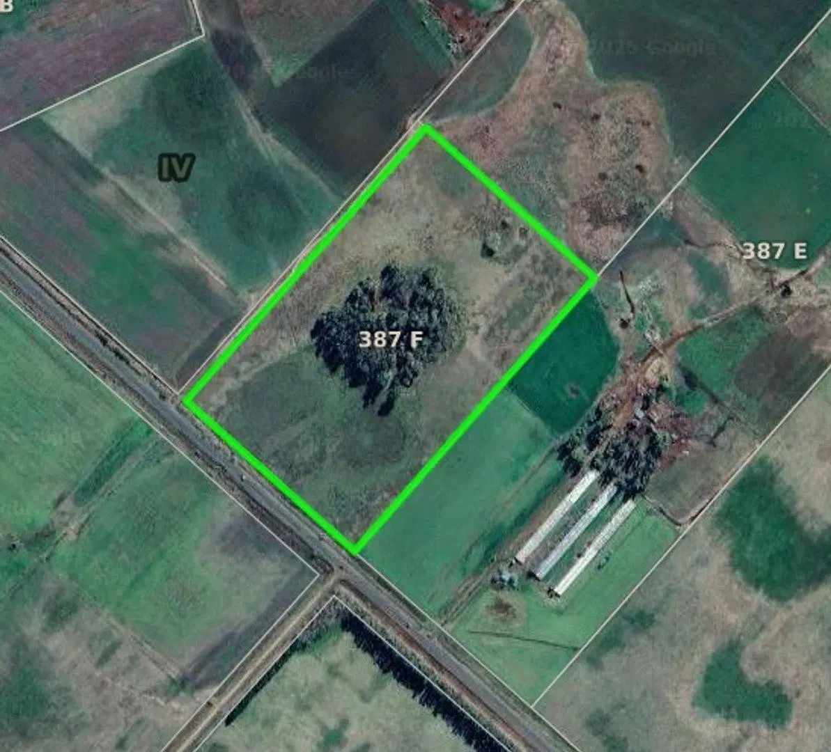Venta Chacra 14 Hectareas en Del Carril, Saladillo 4