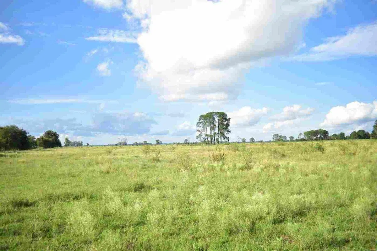 Campo agricola, ganadero  de 75ha en Exaltacion 3