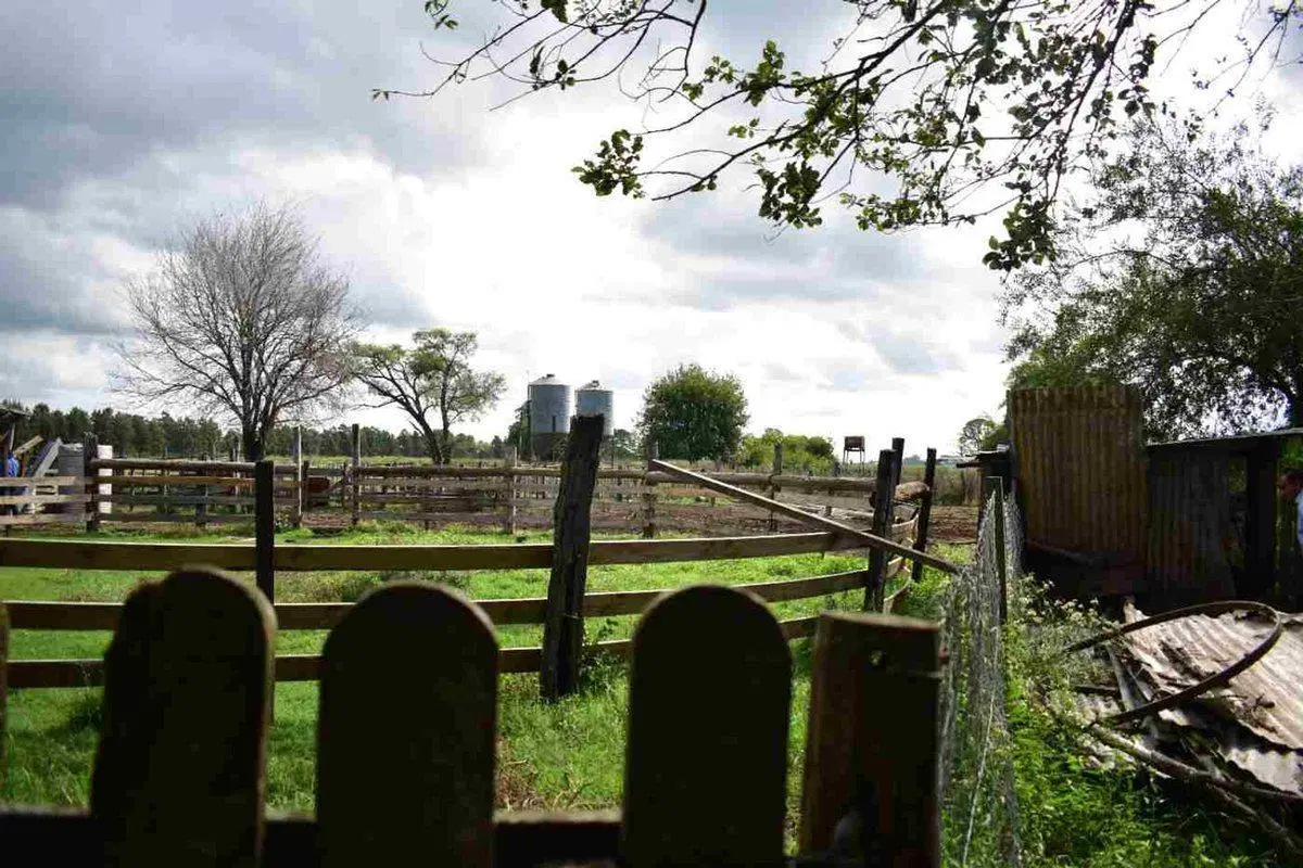 Campo agricola, ganadero  de 75ha en Exaltacion 8