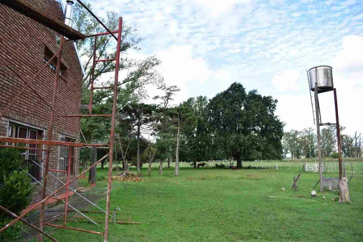 Campo agricola, ganadero  de 75ha en Exaltacion 3