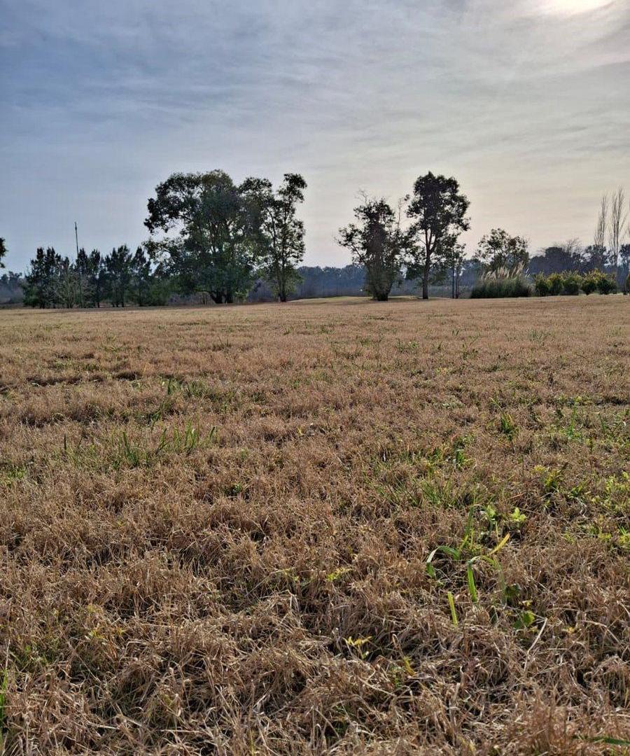 Foto de Lote en venta. Everlinks Golf & CC. Lujan Financia, imagen 2