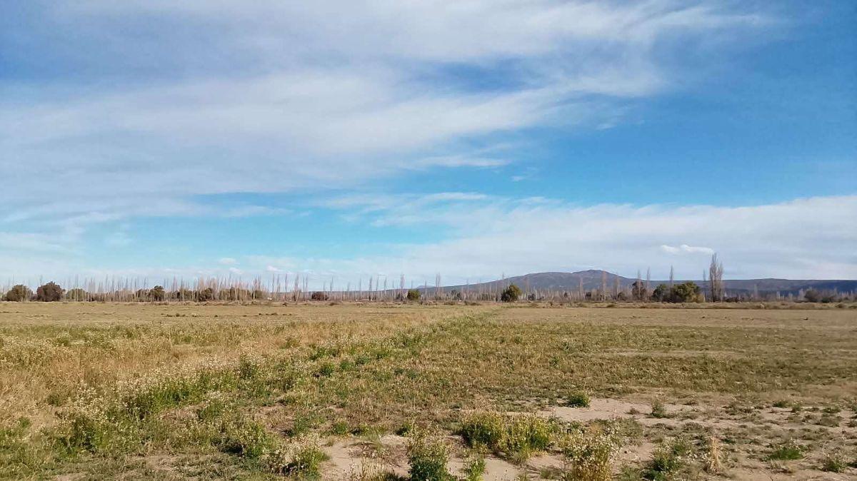 Foto de VENTA FINCA 32.3 Hectáreas en Rama Caida con todos los servicios, casa, imagen 2