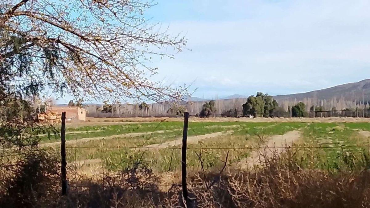 Foto de VENTA FINCA 32.3 Hectáreas en Rama Caida con todos los servicios, casa, imagen 3
