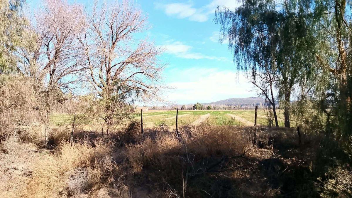 Foto de VENTA FINCA 32.3 Hectáreas en Rama Caida con todos los servicios, casa, imagen 4