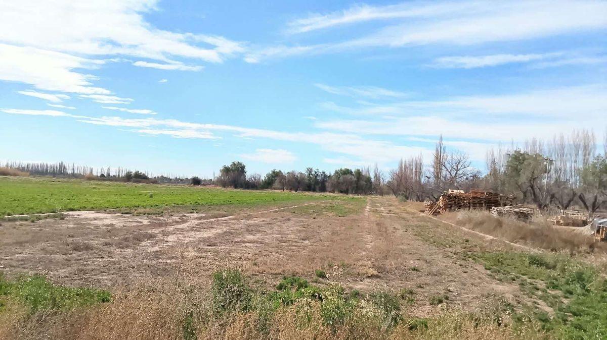 Foto de VENTA FINCA 32.3 Hectáreas en Rama Caida con todos los servicios, casa, imagen 5