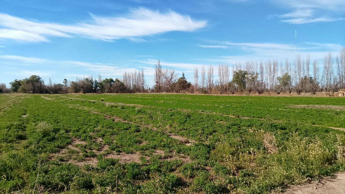 Foto de VENTA finca 32.3hectáreas Rama Caida. Todos los servicios , casa y, imagen 5