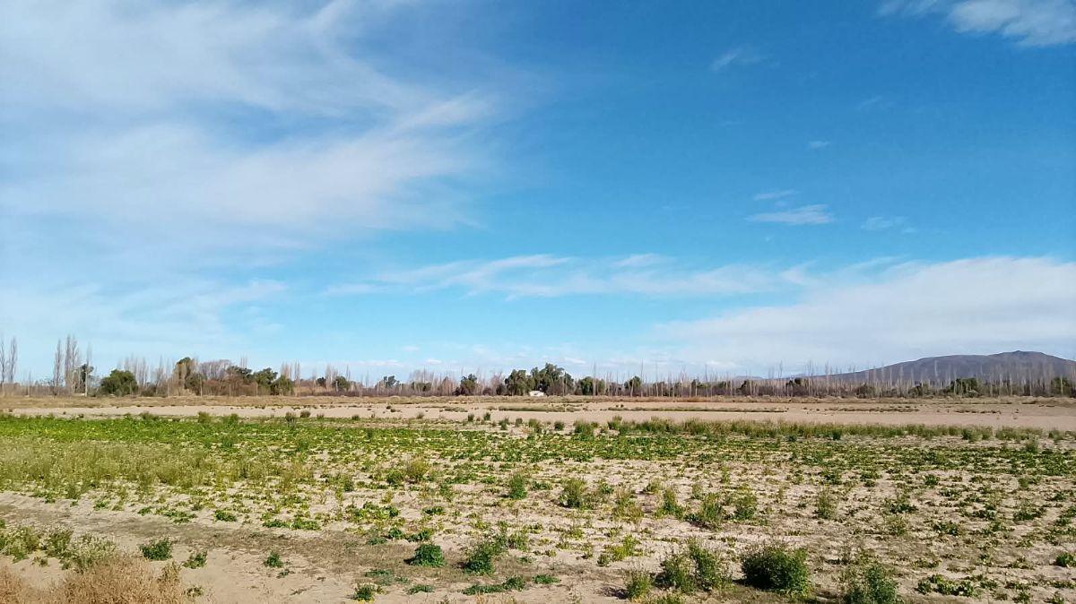 Foto de VENTA finca 32.3hectáreas Rama Caida. Todos los servicios , casa y, imagen 3