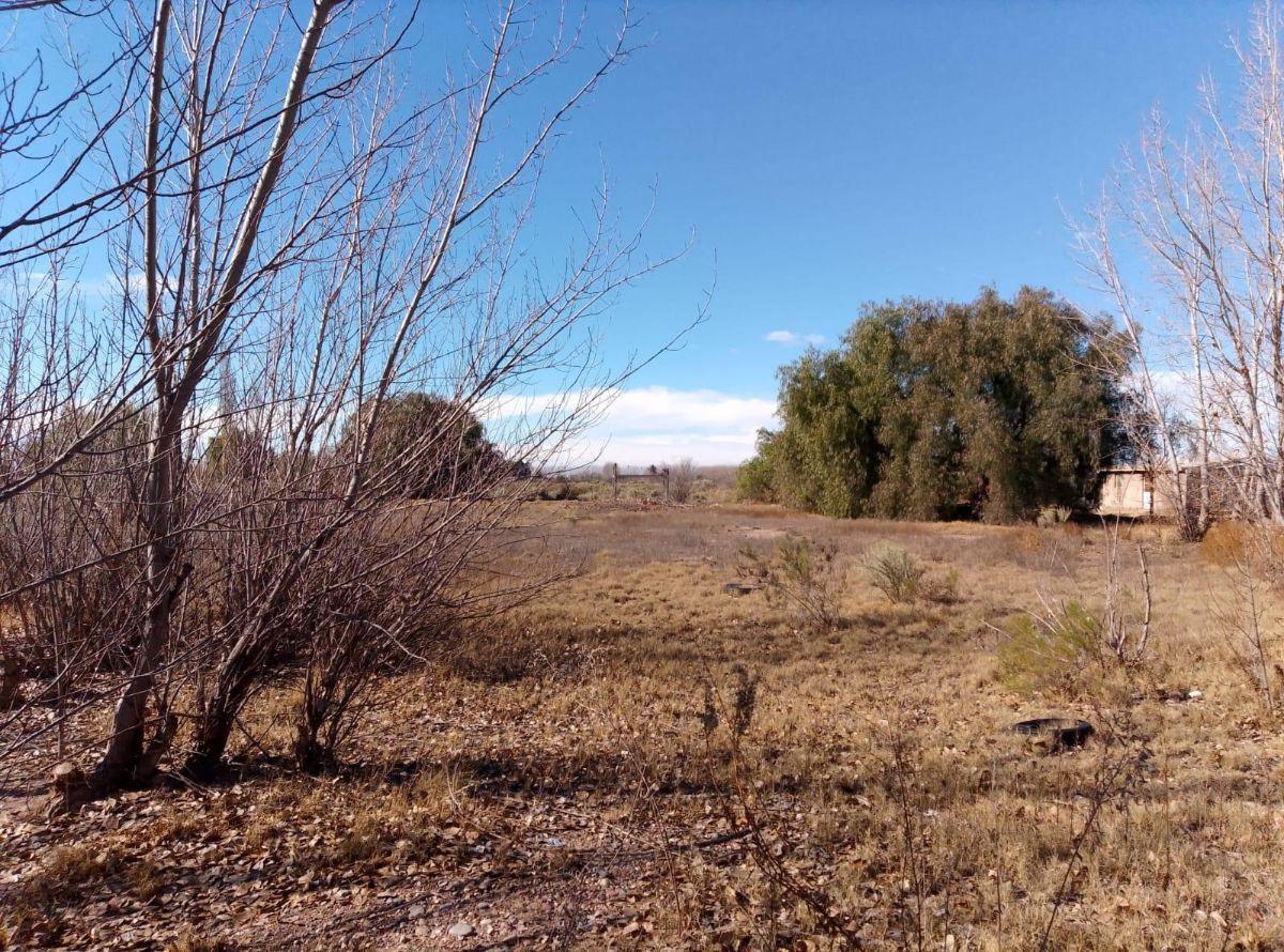 Foto de Terreno / Lote en venta de 29910m2 ubicado en San Rafael, imagen 5
