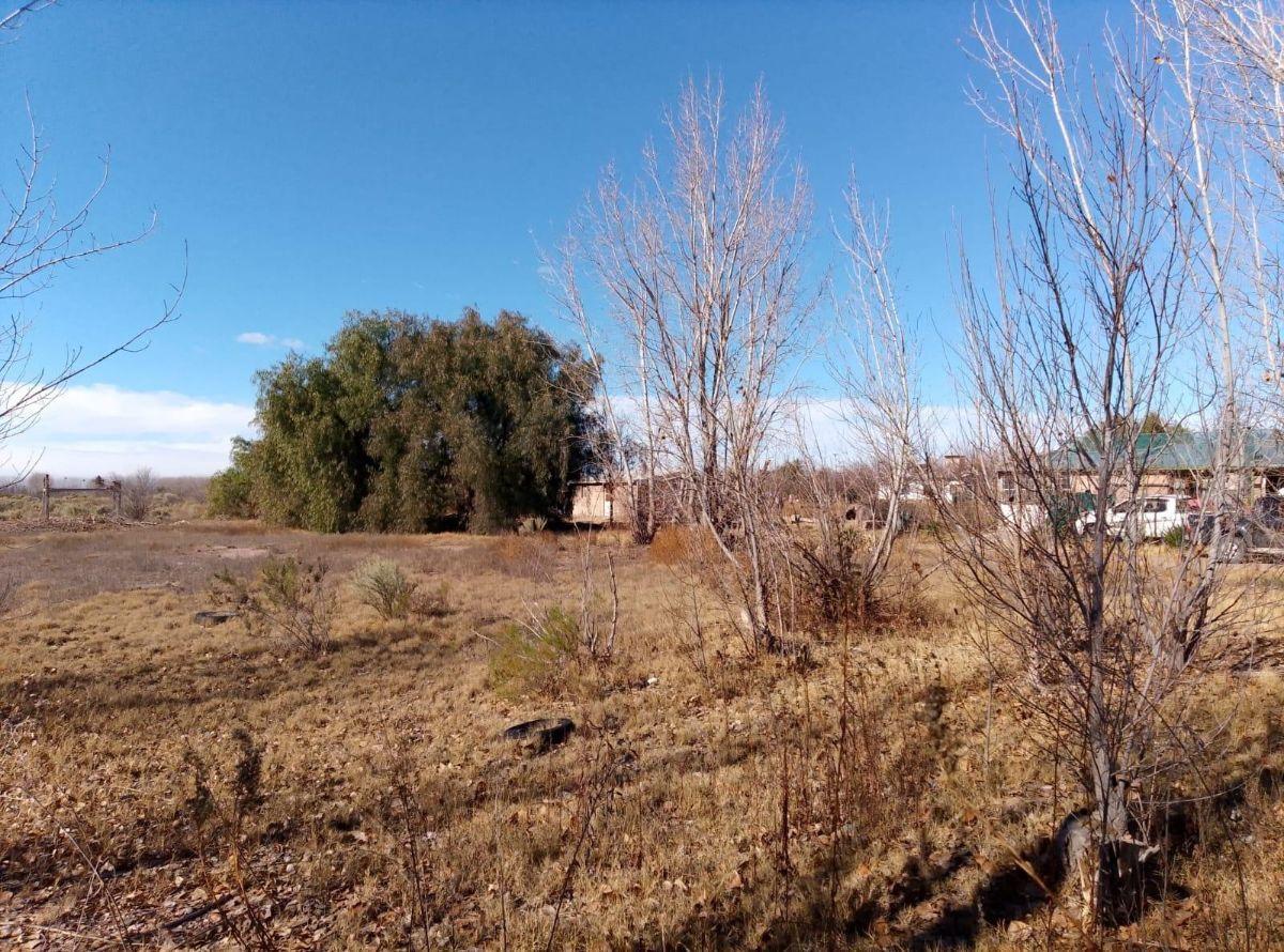 Foto de Terreno / Lote en venta de 29910m2 ubicado en San Rafael, imagen 2