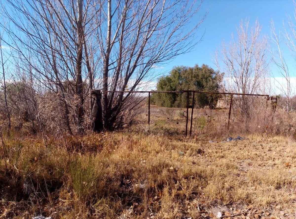 Foto de Terreno / Lote en venta de 29910m2 ubicado en San Rafael, imagen 1