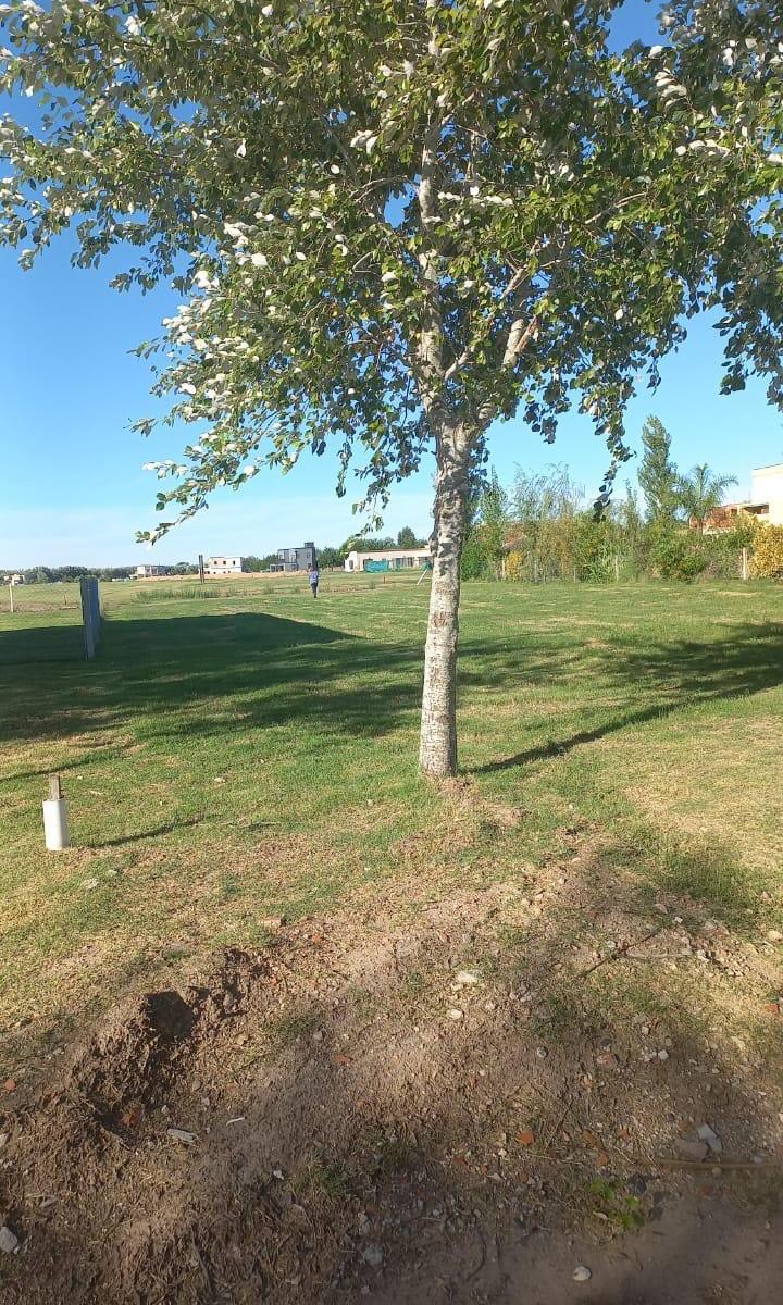 VENTA LOTE DE TERRENO - HARAS DEL SUR III (CLUB DE CAMPO & SPA) - RUTA 2 KM 70