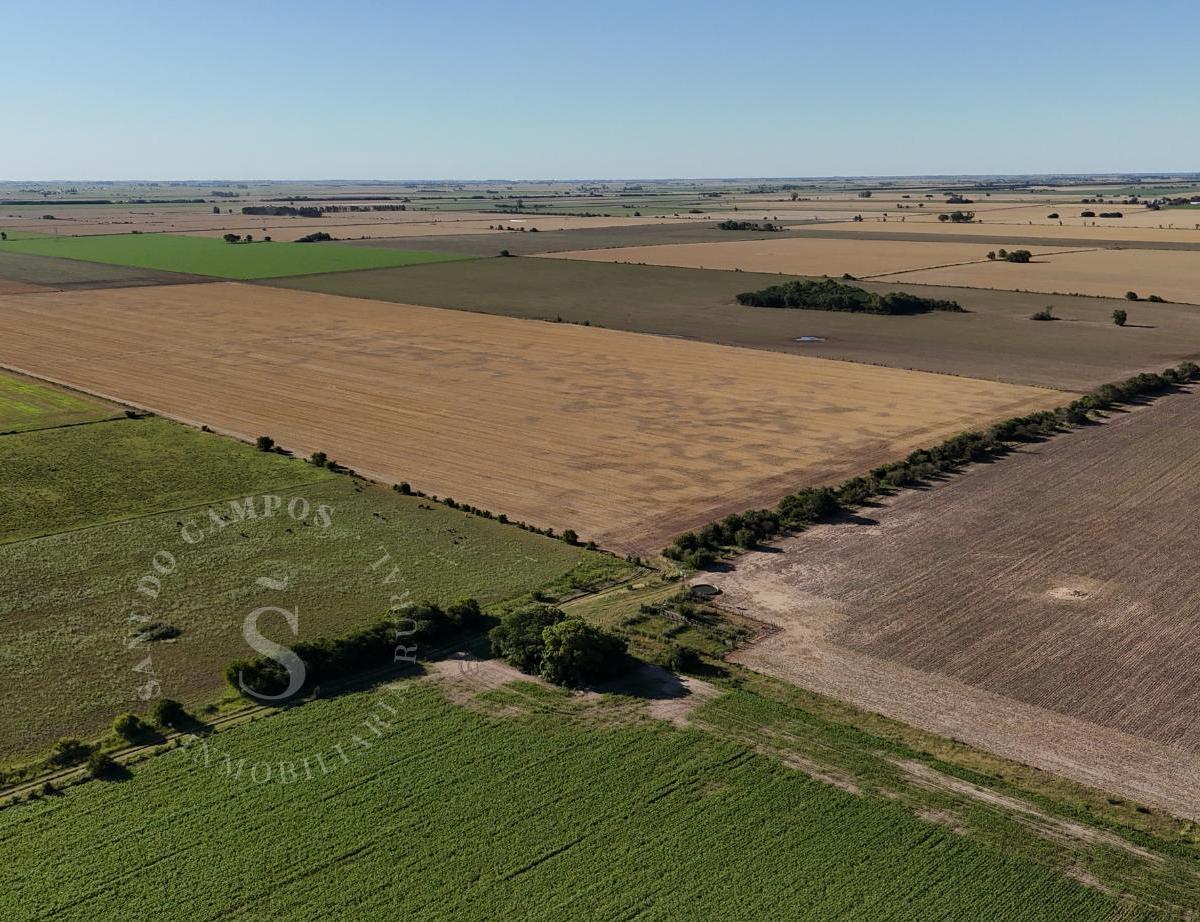 Venta Campo 162 Hectáreas Agrícolas. Coronda, Santa Fe. 5
