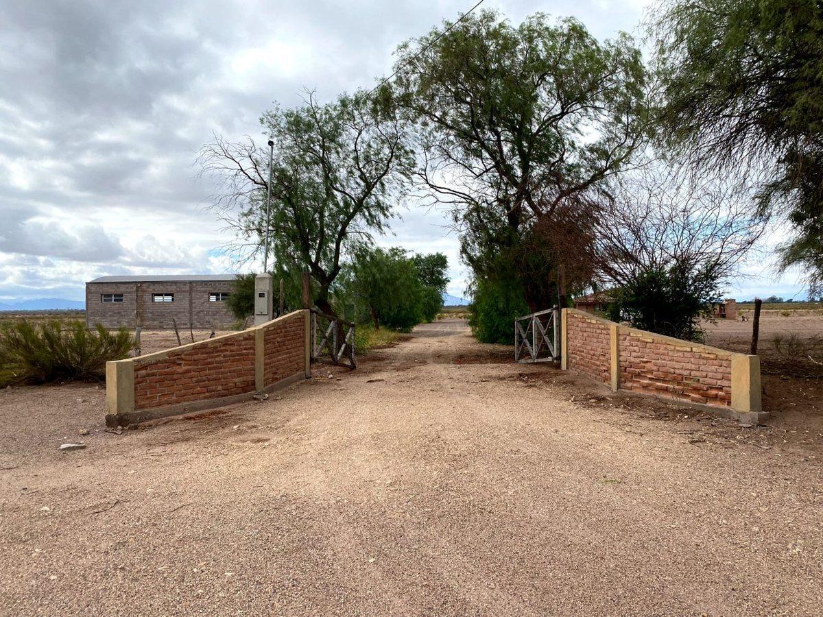 SE VENDE CAMPO EN TINOGASTA 388 Has CHALET, GALPON