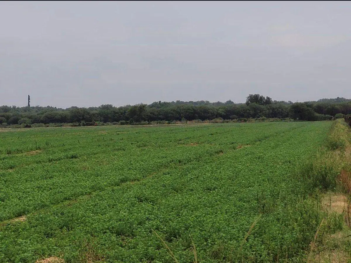 SE VENDE CASA RURAL CAPAYAN NUEVA CONETA 4