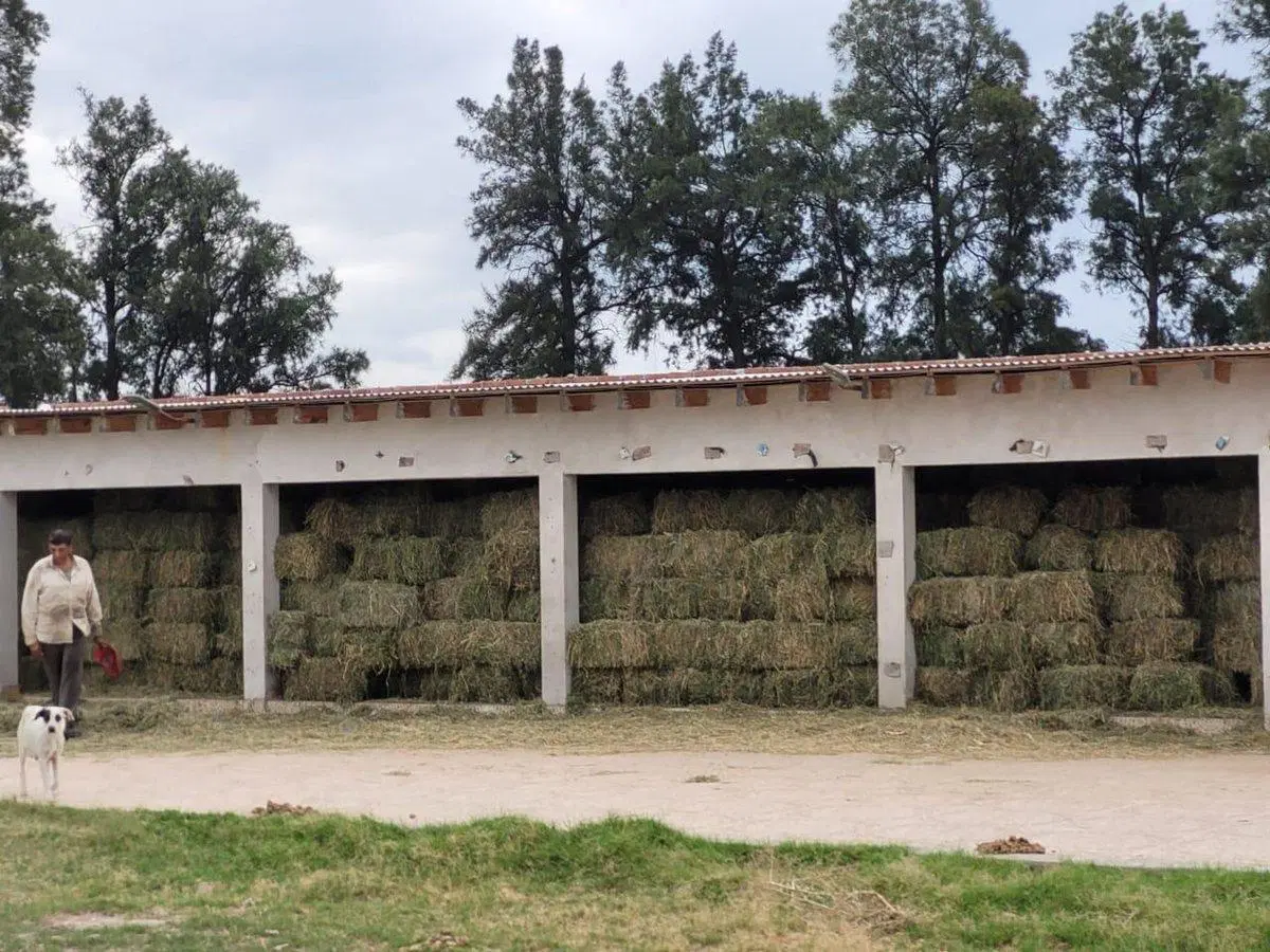 SE VENDE CASA RURAL CAPAYAN NUEVA CONETA 5