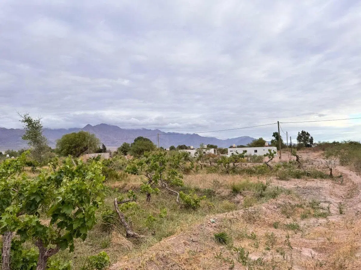 SE VENDE TERRENO EN FIAMBALA TINOGASTA 5