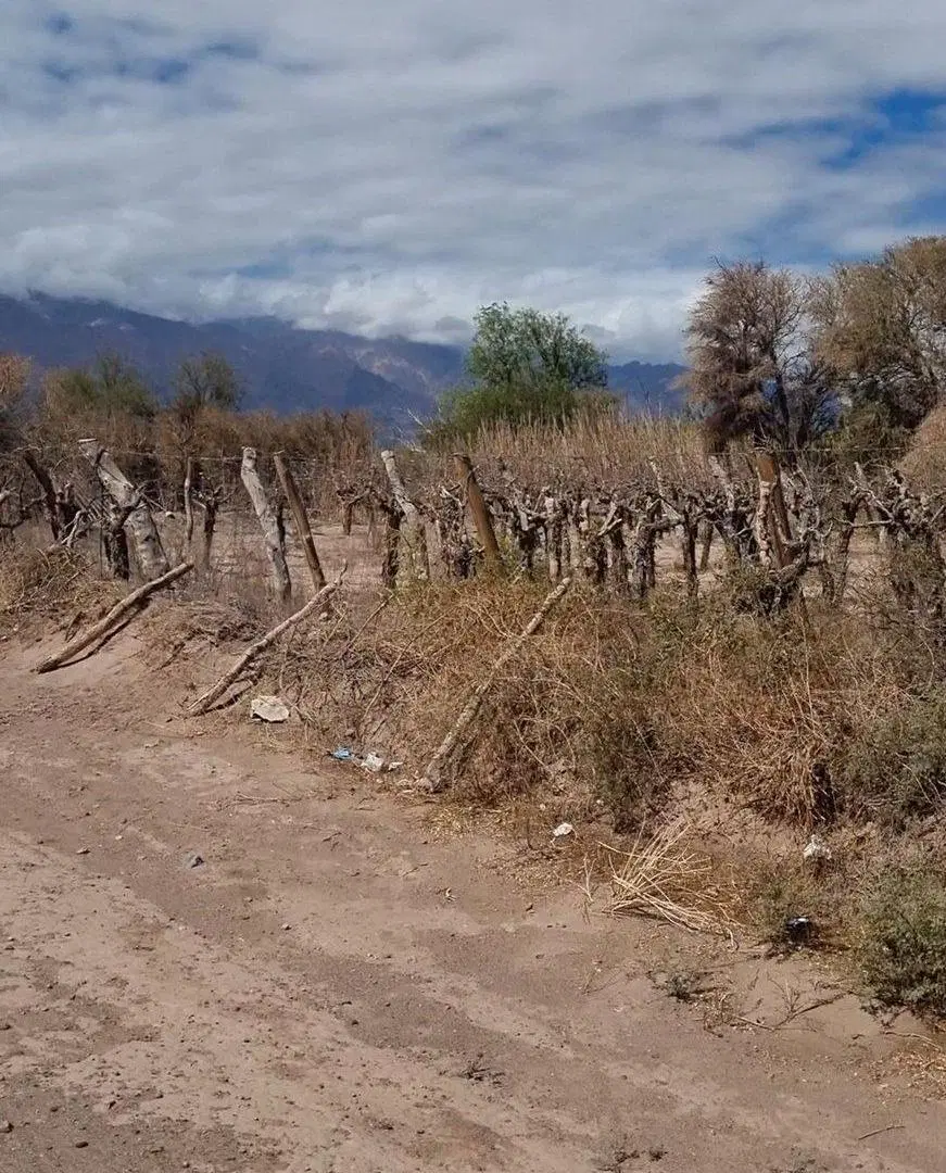 Se Vende terreno en Fiambala 3