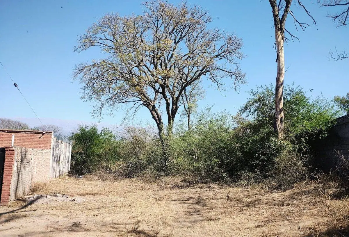 SE VENDEN TERRENOS EN SAN ISIDRO V.VIEJO CATAMARCA 2