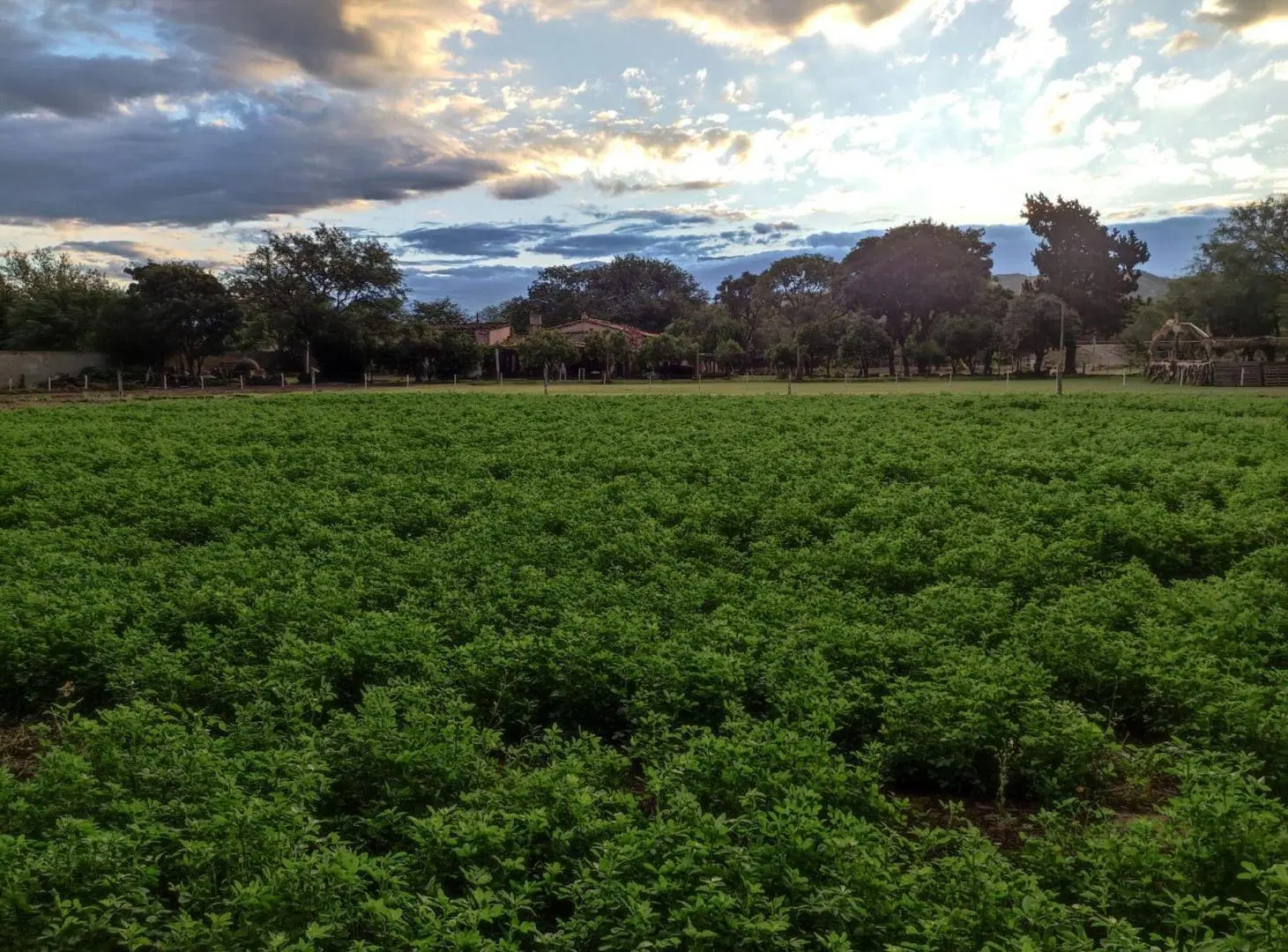 SE VENDE FINCA + CAMPO EN FRAY M. ESQUIÚ CATAMARCA 5