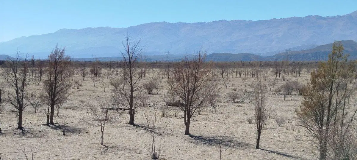 SE VENDE CAMPO EN STA MARÍA, 357 HAS. FACILIDADES 2