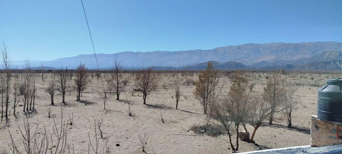 SE VENDE CAMPO EN STA MARÍA, 357 HAS. FACILIDADES 5