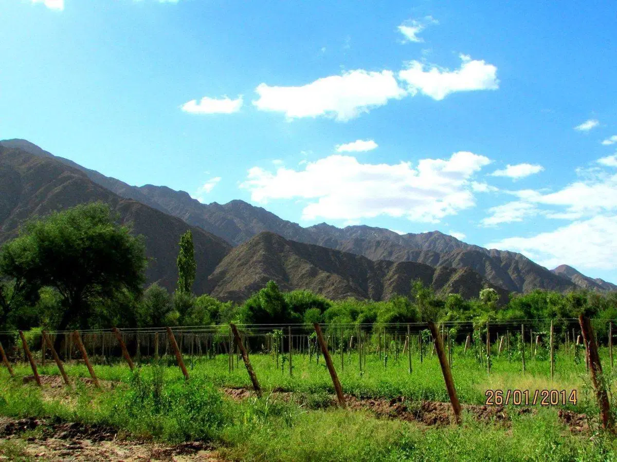 SE VENDE FINCA CON BODEGA, CAVA Y PARRAL 7083 M2 5
