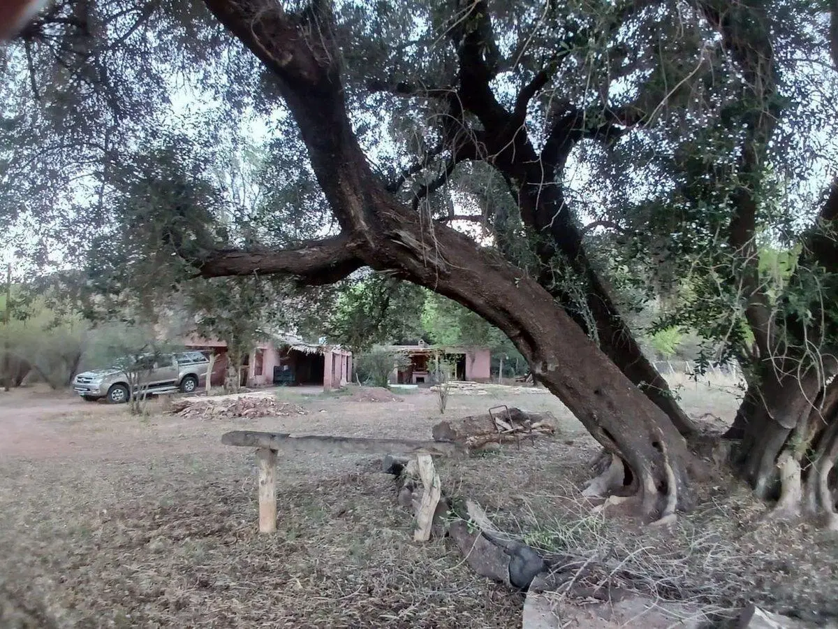 SE VENDE FINCA CON BODEGA, CAVA Y PARRAL 7083 M2 3
