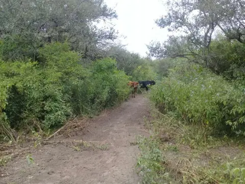 Imagen de la propiedad