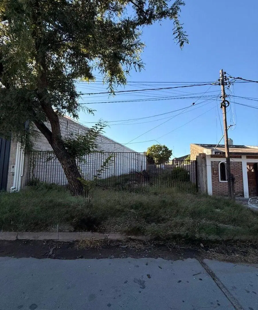 Terreno ideal para galpón y desarrollo comercial 3