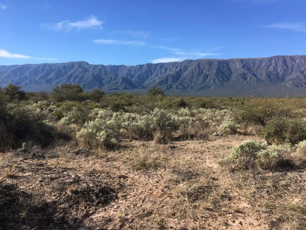 SE VENDE CAMPOS EN SAN MARTIN - CAPAYAN - RUTA 33 5
