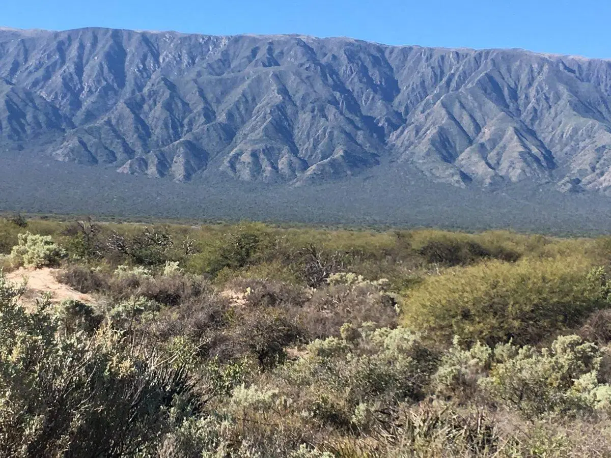 SE VENDE CAMPOS EN SAN MARTIN - CAPAYAN - RUTA 33 4