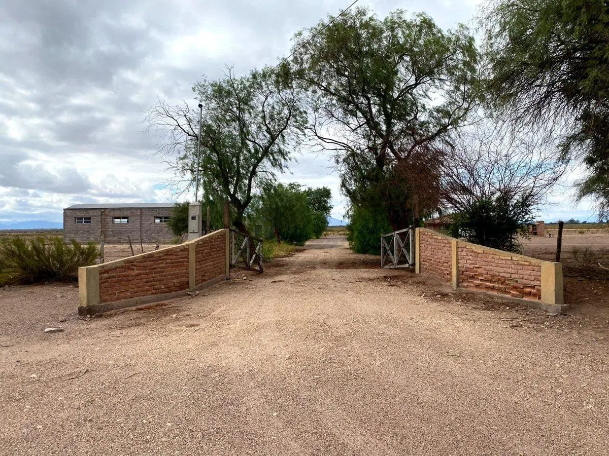 SE VENDE CAMPO EN TINOGASTA 388 Has CHALET, GALPON 5