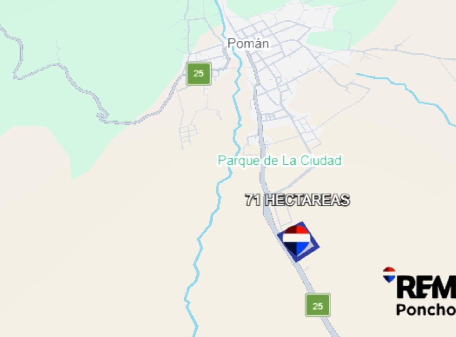 VENTA CAMPO INGRESO A VILLA POMAN RUTA 25