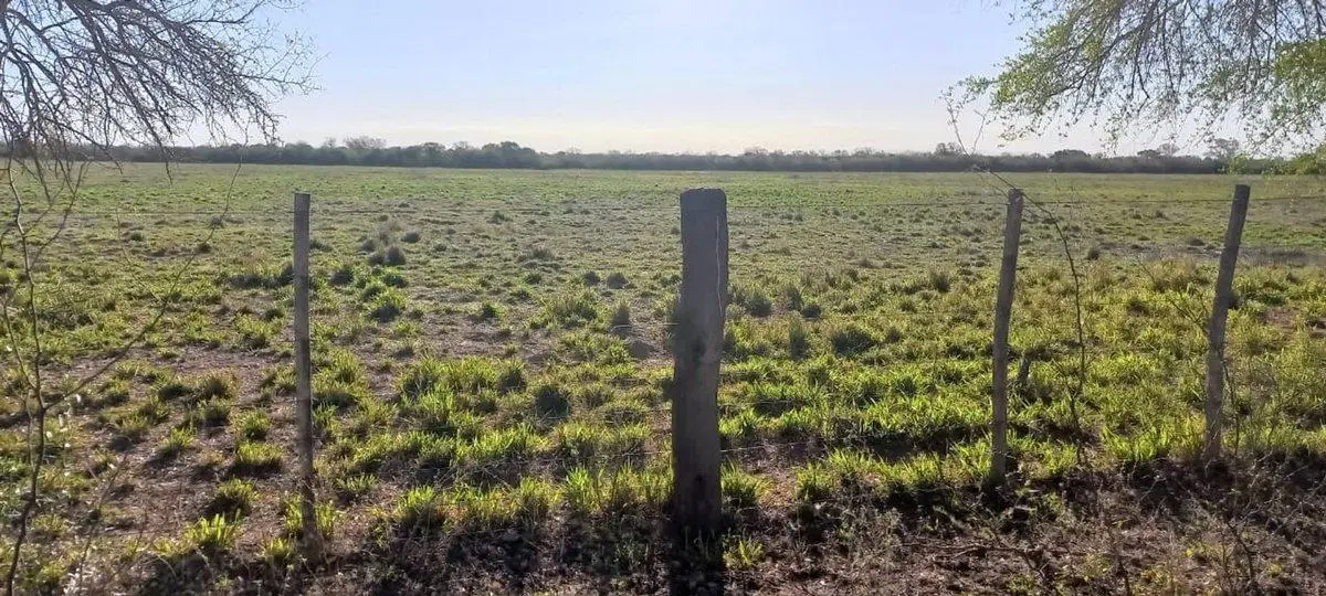 SE VENDE CAMPO DE 500 HAS EN DPTO LA PAZ CATAMARCA 3