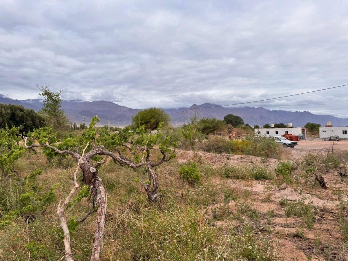 SE VENDE TERRENO EN FIAMBALA - DPTO TINOGASTA