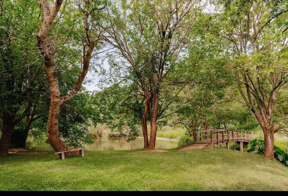 SE VENDEN LOTES EN PACLÍN. FACILIDADES. PERMUTA 4