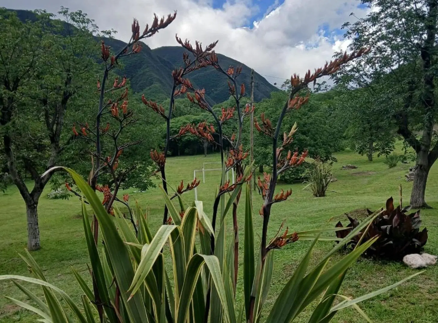 SE VENDE CASA MAS CAMPO EN LA CALERA CATAMARCA 3