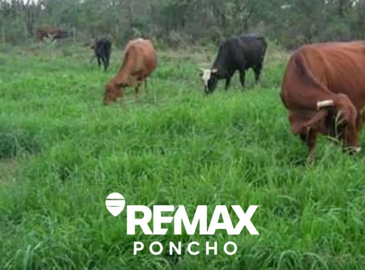 SE VENDECAMPO OPORTUNIDAD 5.940HA LA PAZ CATAMARCA 8