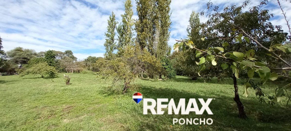 Foto de VENTA FINCA con CASA en San Pedro - Capayan, imagen 2