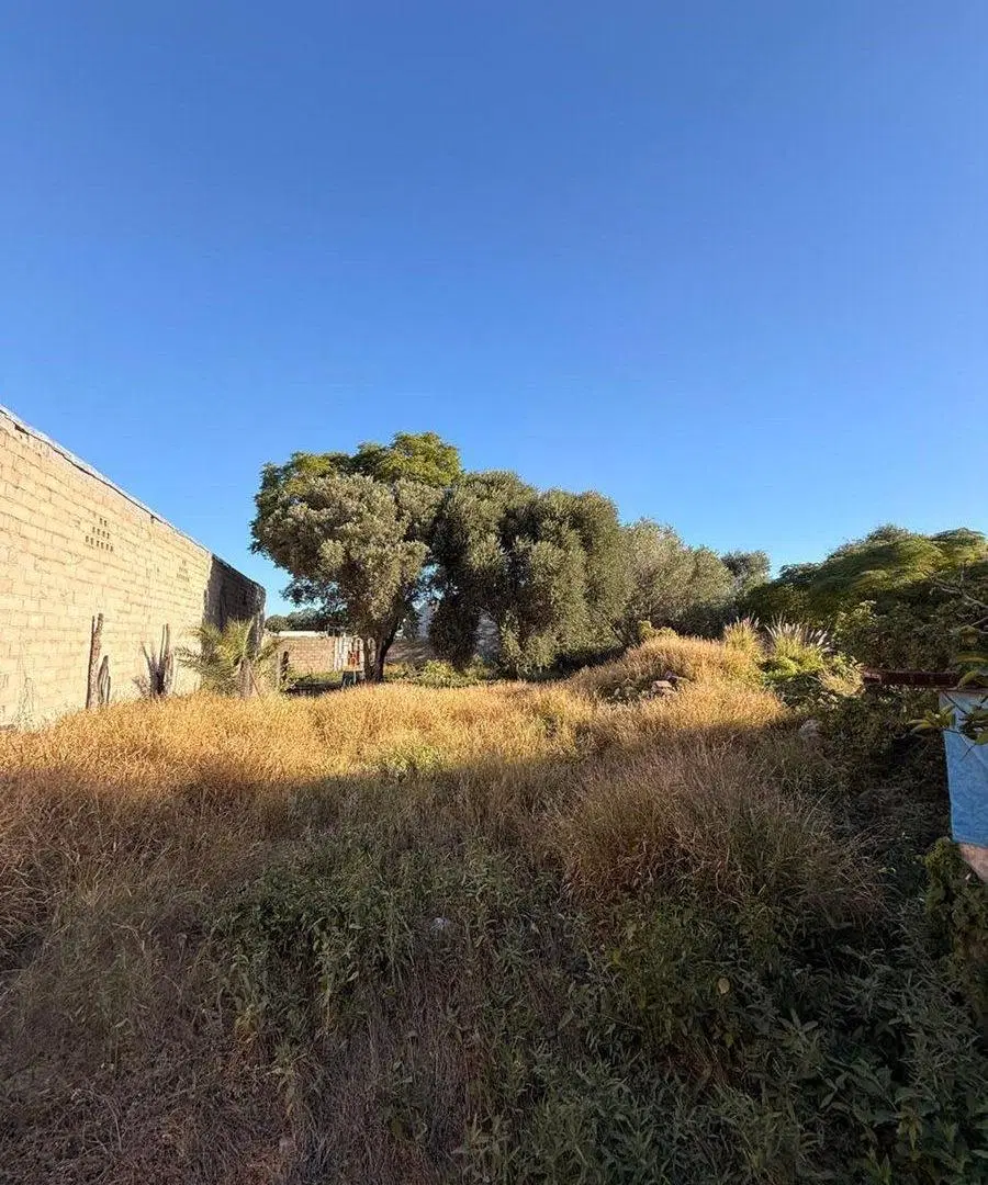 Terreno ideal para galpón y desarrollo comercial 3